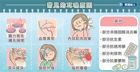 耳朵有聲音|耳朵嗡嗡響、耳鳴怎麼辦？圖解6大耳鳴原因，4症狀速。